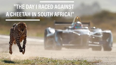 Drag Race: Formula E car vs Cheetah