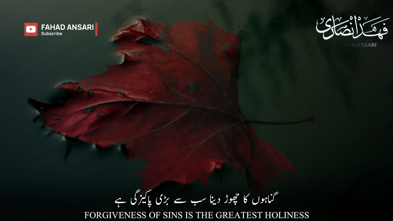 Heart Touching Islamic Status | Broken Status | Gunah | The Greatest Purity | Molana Tariq Jameel