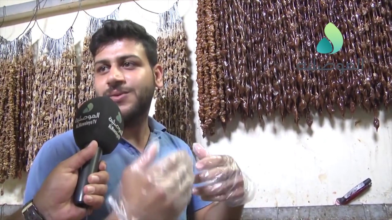 صناعات موصلية - السجقات