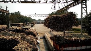 Sugar Factory in India/ Tamilnadu / Process video of Sugar Mill / Sugar Manufacturing Process