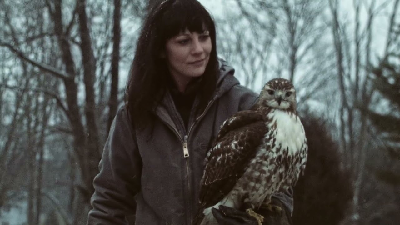 Hazel the Hawk: Rescued, Recovered, Released