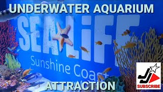 SEA-LIFE AQUARIUM | SUNSHINE COAST