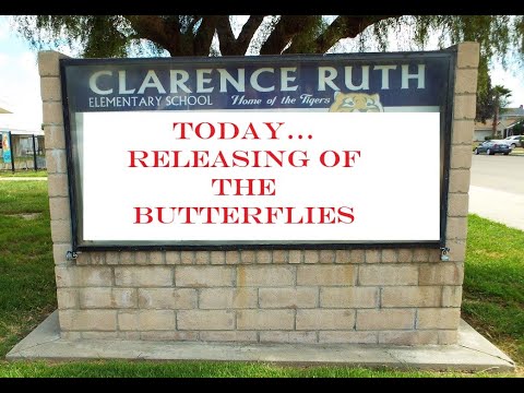 Clarence Ruth Elementary School...release of the Butterflies on 05-19-2020