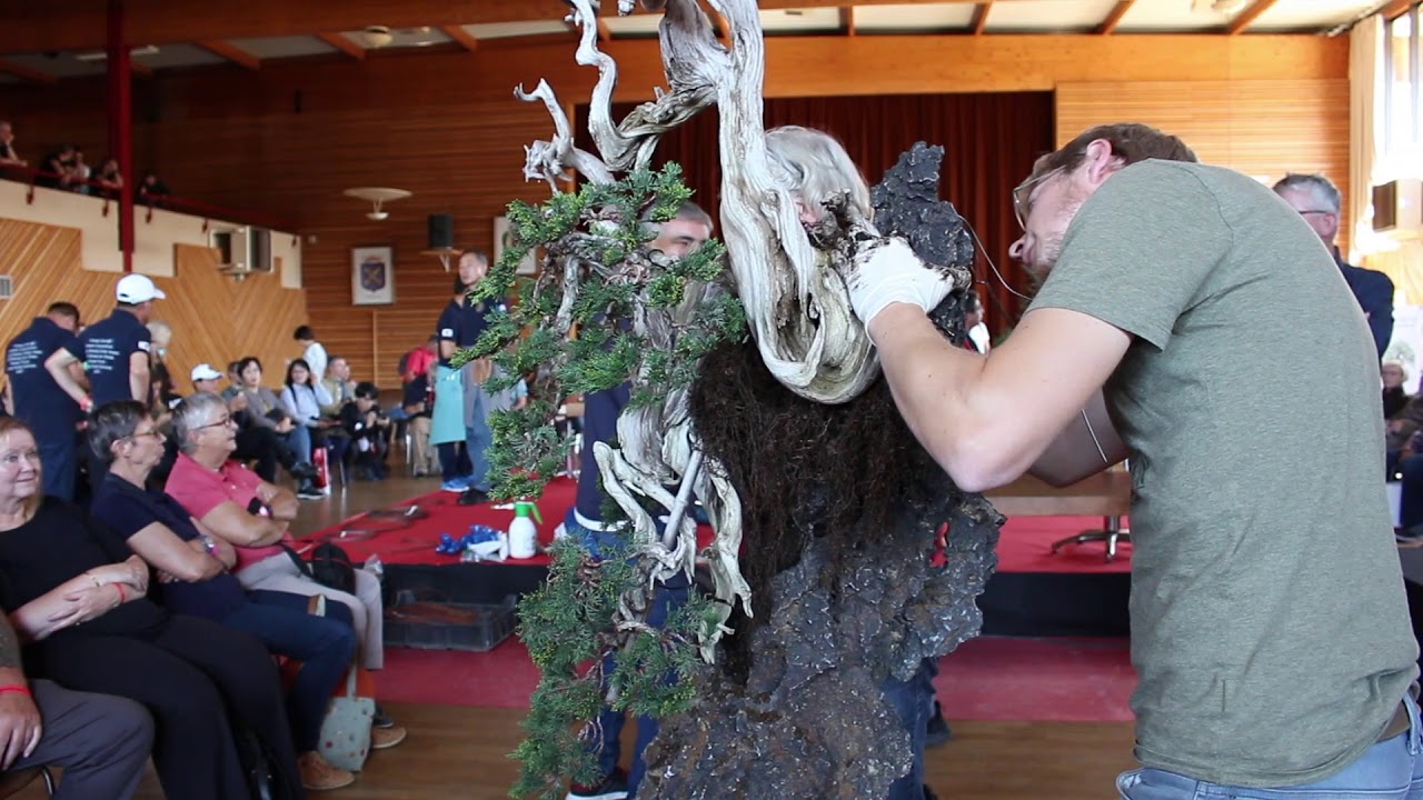 Bonsai demo by Danny Use - YouTube