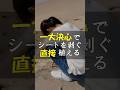 一大決心クラピアのシートを剥いで直接植えた #Shorts