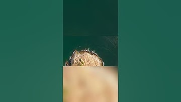 سورة الكهف ( 1 - 5 ) .. تلاوة خاشعة
