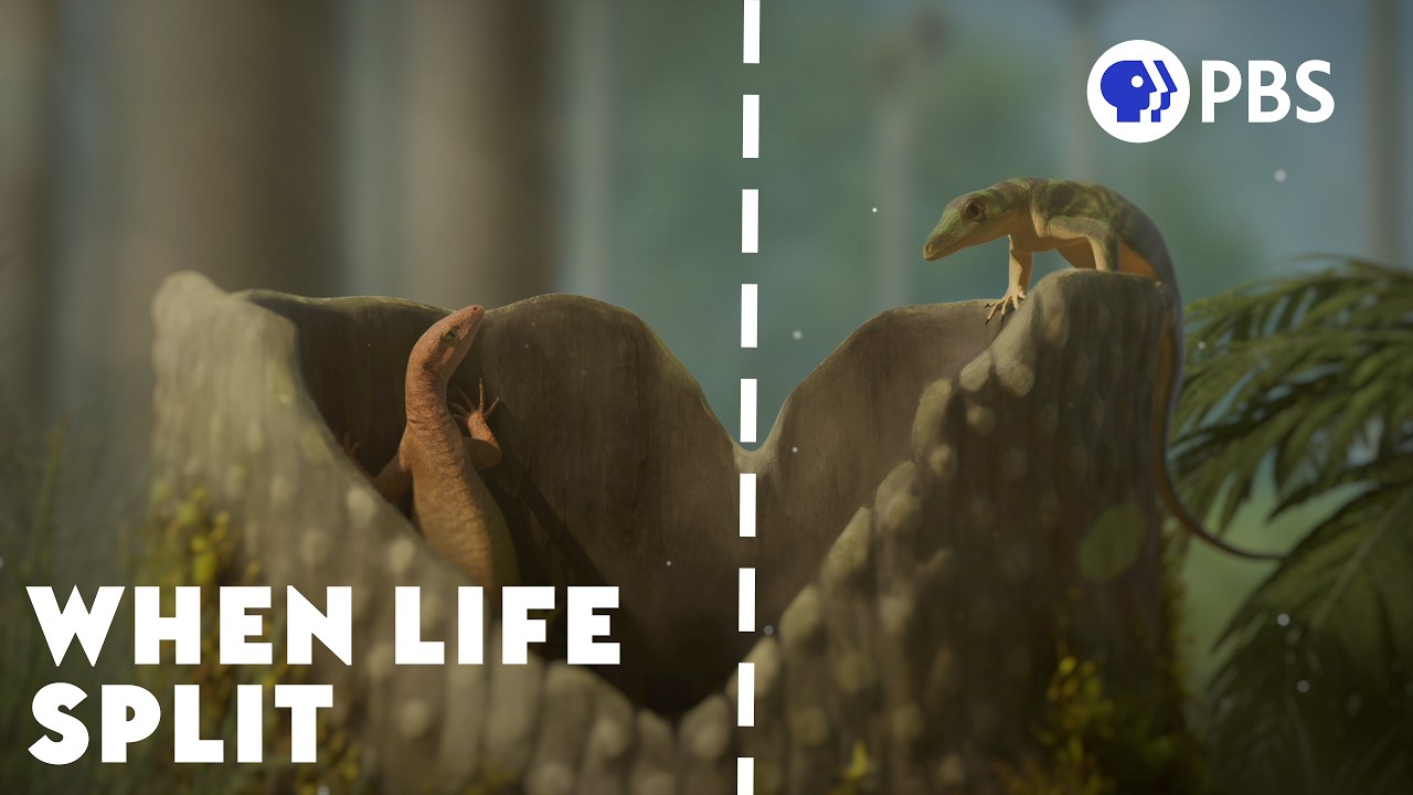 How the Formation of Pangea Changed the World | Eons: Life and Death on Pangea