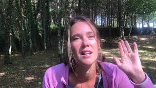 Compostelle prend deux ailes: La complainte du phoque en Galicia