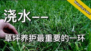 草坪浇水的知识和技巧 - 草坪养护最重要的一环 - how to water lawn properly | 尅尅&凯西的后花园