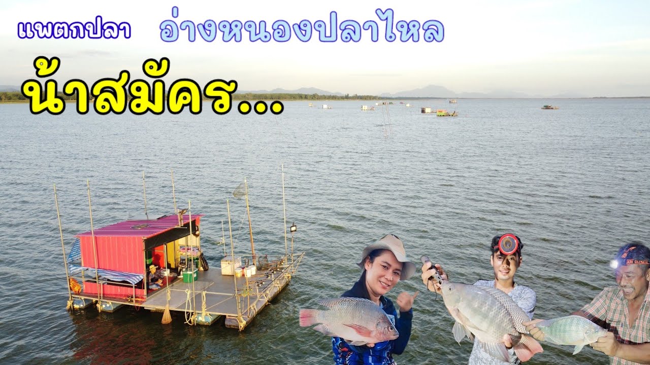 โป๊ะเทสน้าสมัครแห่งอ่างหนองปลาไหล #แพตกปลาน้าสมัคร #สูตรเหยื่อตกปลานิล #ตกปลาหนองปลาไหล