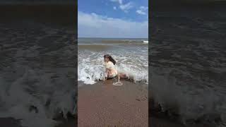 Splashy Splits In The Sea