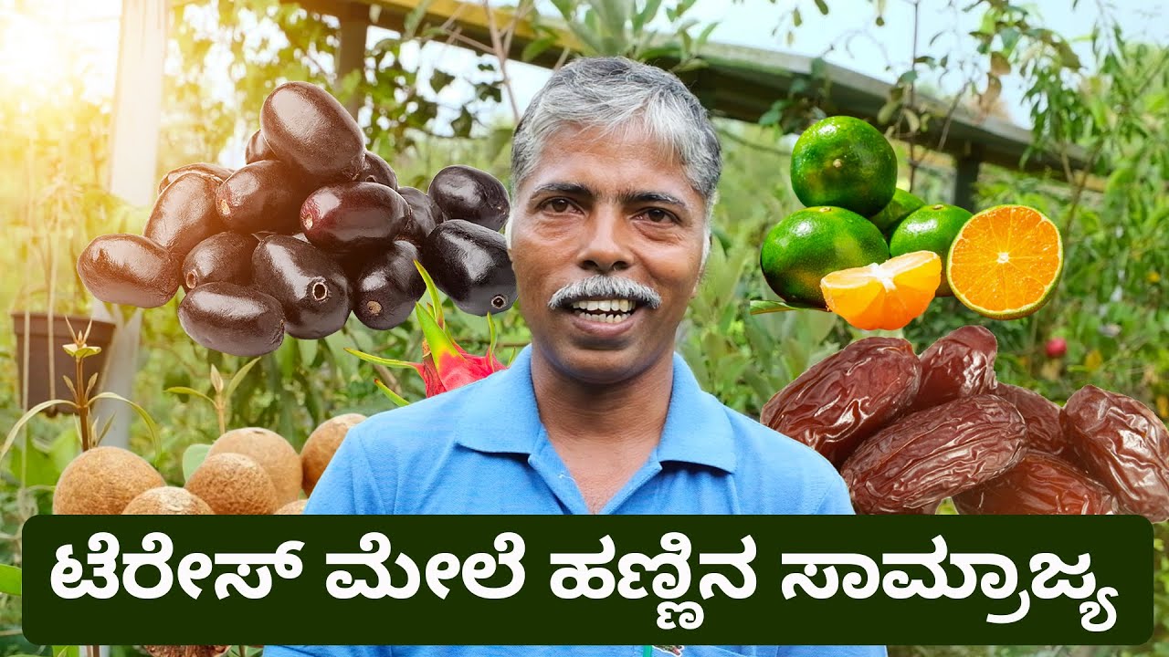 Incredible Terrace Garden in UDUPI | Kingdom of exotic fruits & Flowers | ನೀವೆಂದೂ ಕಂಡಿರದ ತಾರಸಿ ತೋಟ