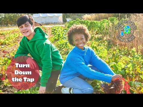 Turn Down the Tap | ClearWaterKids Challenge | Shaftesbury Kids