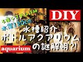 【ボトルアクアリウム】自作底面濾過フィルターと円柱形金魚水槽の謎⁈