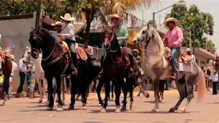 Video thumbnail of "La Dinastía De Tuzantla - El Herradero (Video Oficial) | Morena Music"