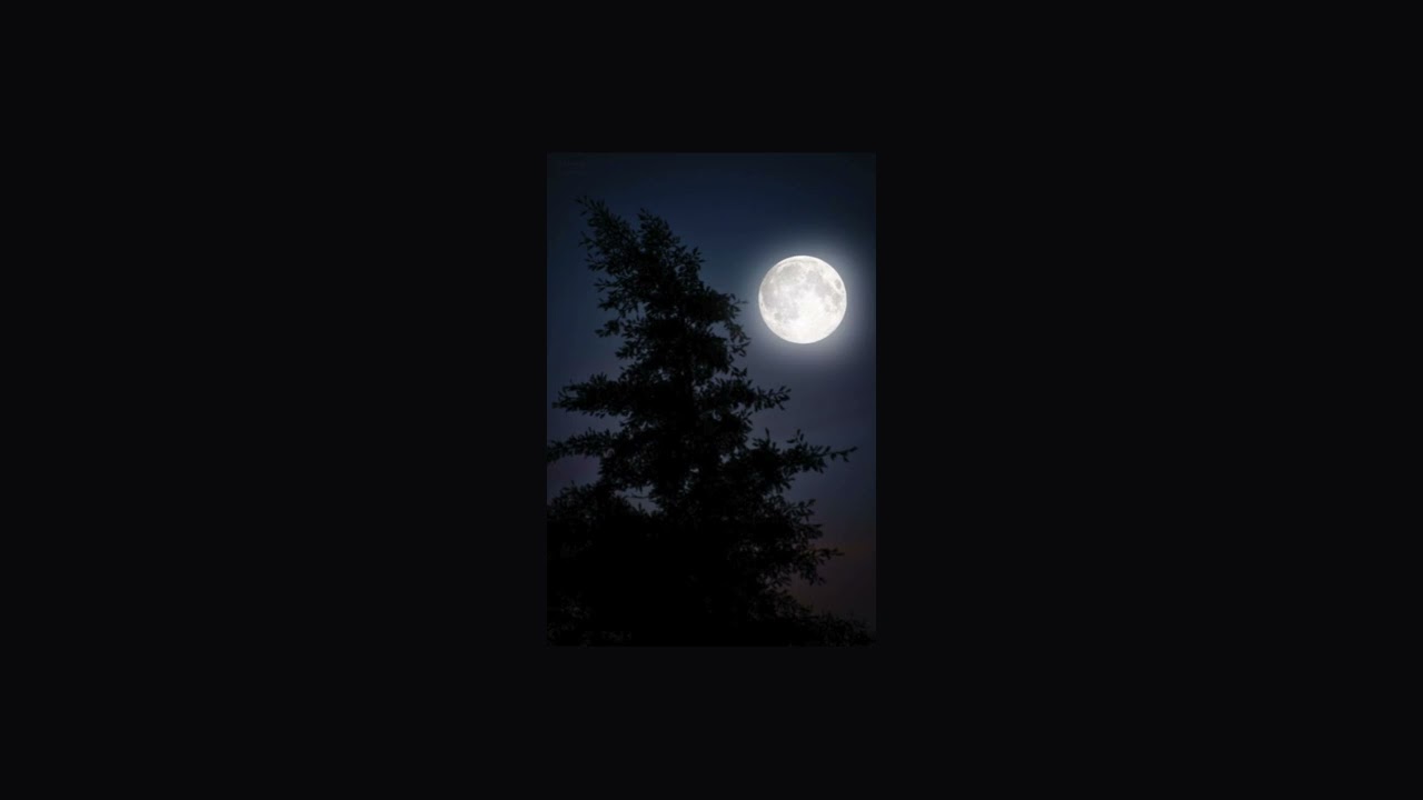 Watch Kashpaint - Midnight on YouTube Watch Kashpaint - Midnight on YouTube