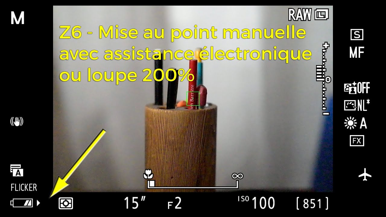 Z6 - Manual focus with the 200% magnification in the viewfinder