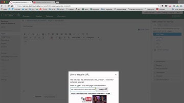 Canvas How-to: YouTube Disable Inline Preview