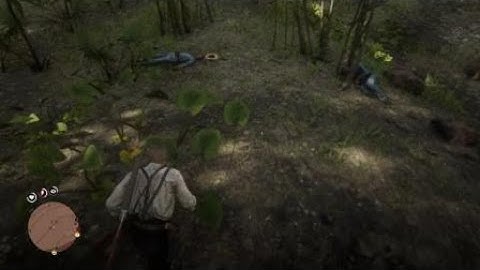 Guarma random encounter 2