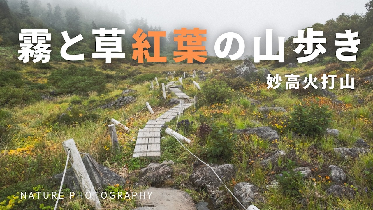 【自然写真】霧と草紅葉広がる高原の秋・妙高火打山｜FUJIFILM X-T5