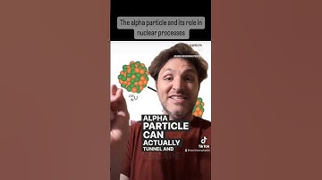 The alpha particle’s role in nuclear fusion processes