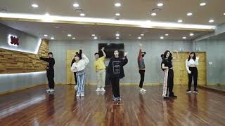 IU - 'BBIBBI' - Dance Practice Mirror