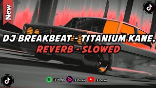 BREAKBEAT - TITANIUM , ( REVERB )
