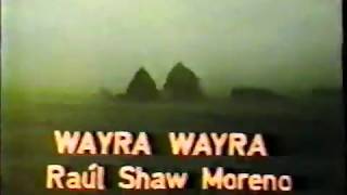 Video thumbnail of "Wayra wayra | Zulma Yugar"