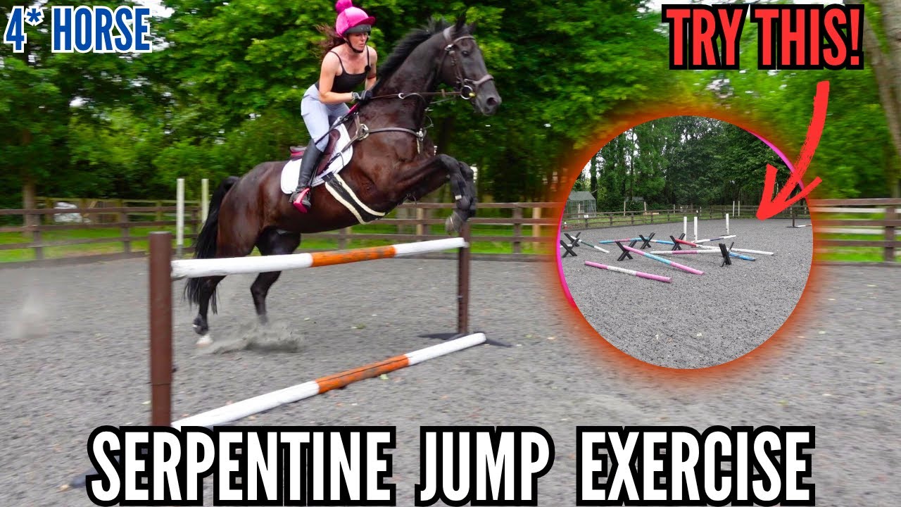 SERPENTINE JUMP EXERCISE! |  4* HORSE DOES A DRILL YOU CAN TRY AT HOME || VLOG 188
