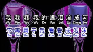 王娜  《 有种思念叫沉默 》  you zhong si nian jiao chen mo