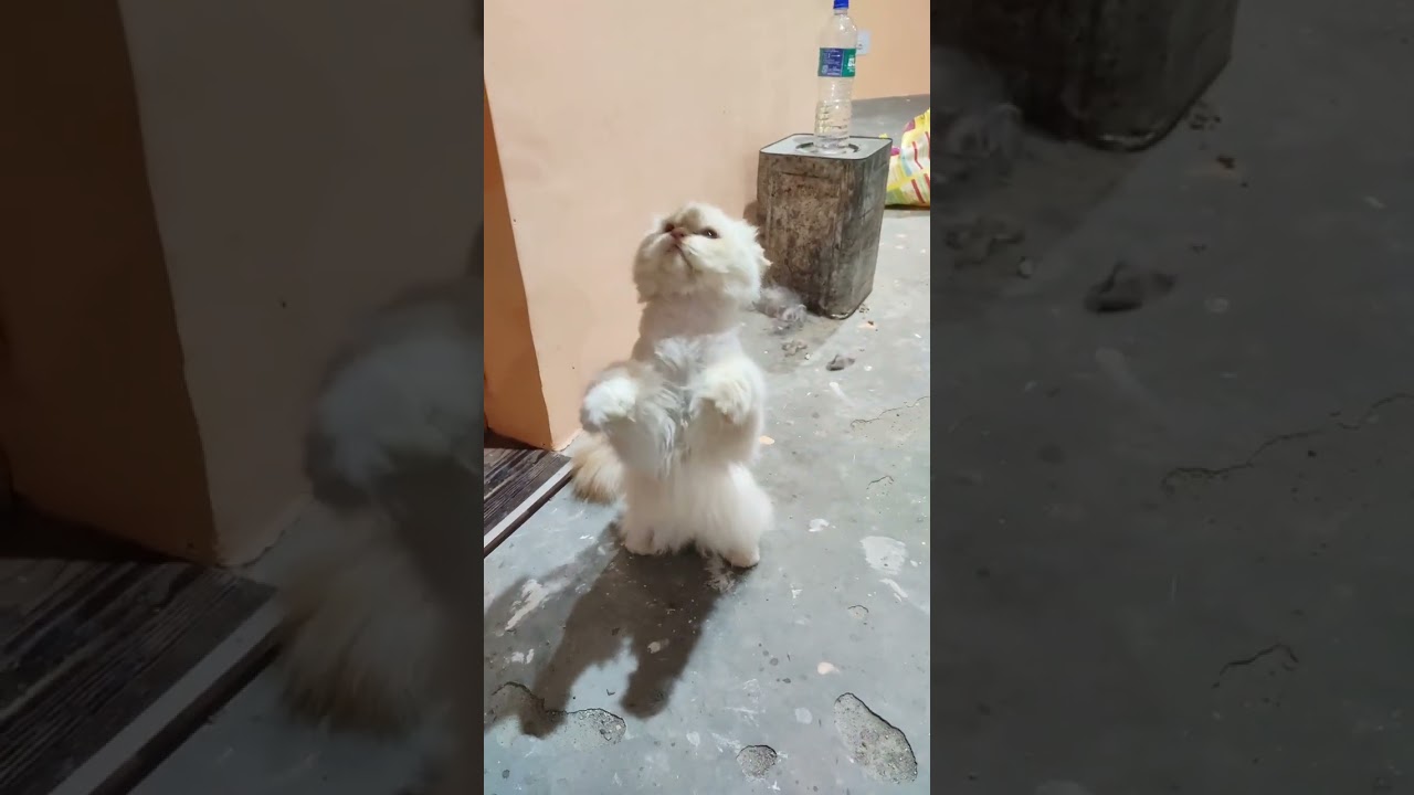 She forgot that we were fighting 😂😂😂😂😂 