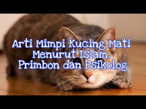 Arti Mimpi Kucing