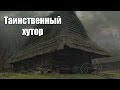 Коп 2016.  Хутор в лесу.  Много интересных находок #2