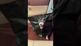 He Took It Too Seriously