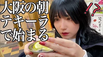 世界一面白い動画