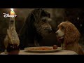 Lilli e Il Vagabondo - Trailer Ufficiale | In Streaming su Disney+