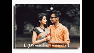 Kolija Tui Amar Tui Je Noyoner Alo Song Status Bengli Lofi Love Song Status Video