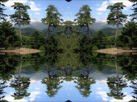 C-Lab — C-Lab - Bio Logic