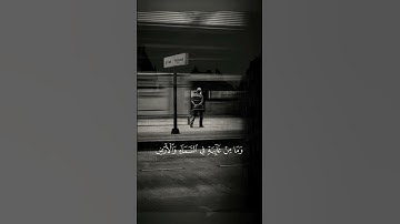 تلاوة خاشعة من سورة النمل ...للقارئ اسلام صبحي 🤲🏻