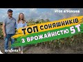 ГІБРИДИ🌻 ДЛЯ ЗАХІДНОЇ ТА ПІВНІЧНОЇ УКРАЇНИ #ТопАгрополів