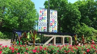 Exploring The Smithsonian National Zoo at Washington DC!