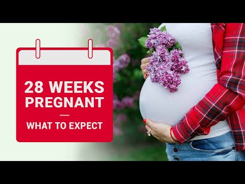 वीडियो: 28 सप्ताह गर्भवती - क्या उम्मीद करनी है