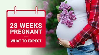 28 Weeks Pregnant: What To Expect