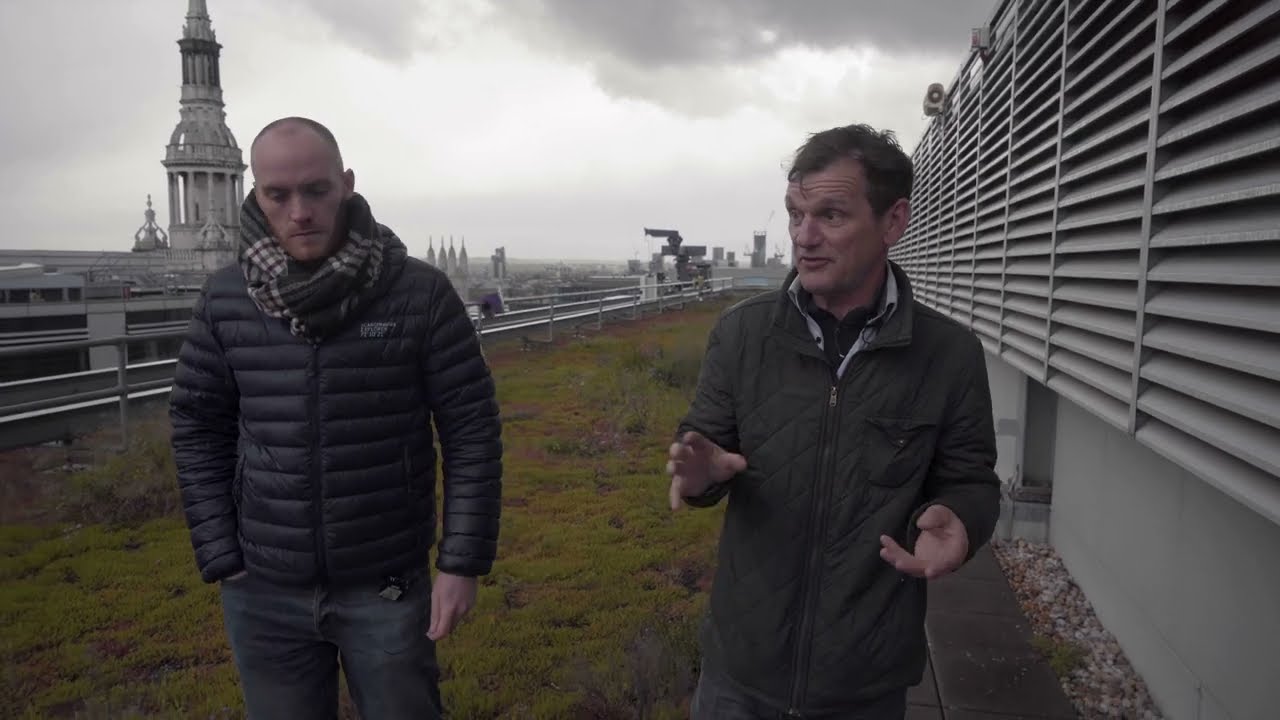 Dusty Gedge - Green Roofs