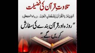 Haiya Alal Falah آؤ کامیابی کی طرف