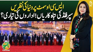 Eyes on SCO Summit, Flood in Punjab - Pakistan News