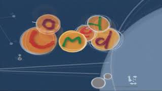 The Comedy Networkradical Sheeppwk Productionscomedy Original Programming 2004