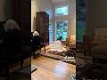 Dog’s Hilarious Piano Solo 🎹🐶🎤 | You’ve Got to Hear This!