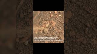 Spider-Like Object Found On Mars