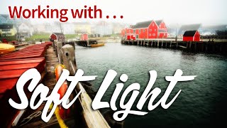 Livestream - Hard Light vs. Soft Light: How to Use Soft Light for Better Photos screenshot 1